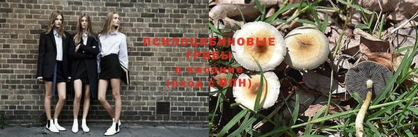 трава Аркадак