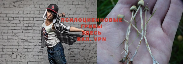 a pvp Арсеньев